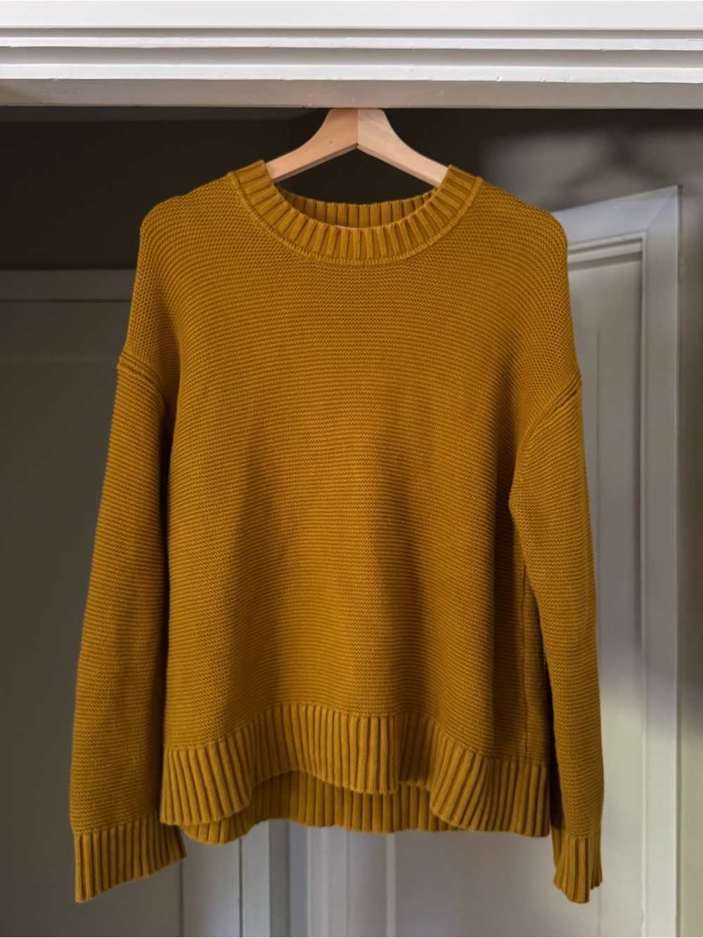 Everlane Cotton Pullover Sweater